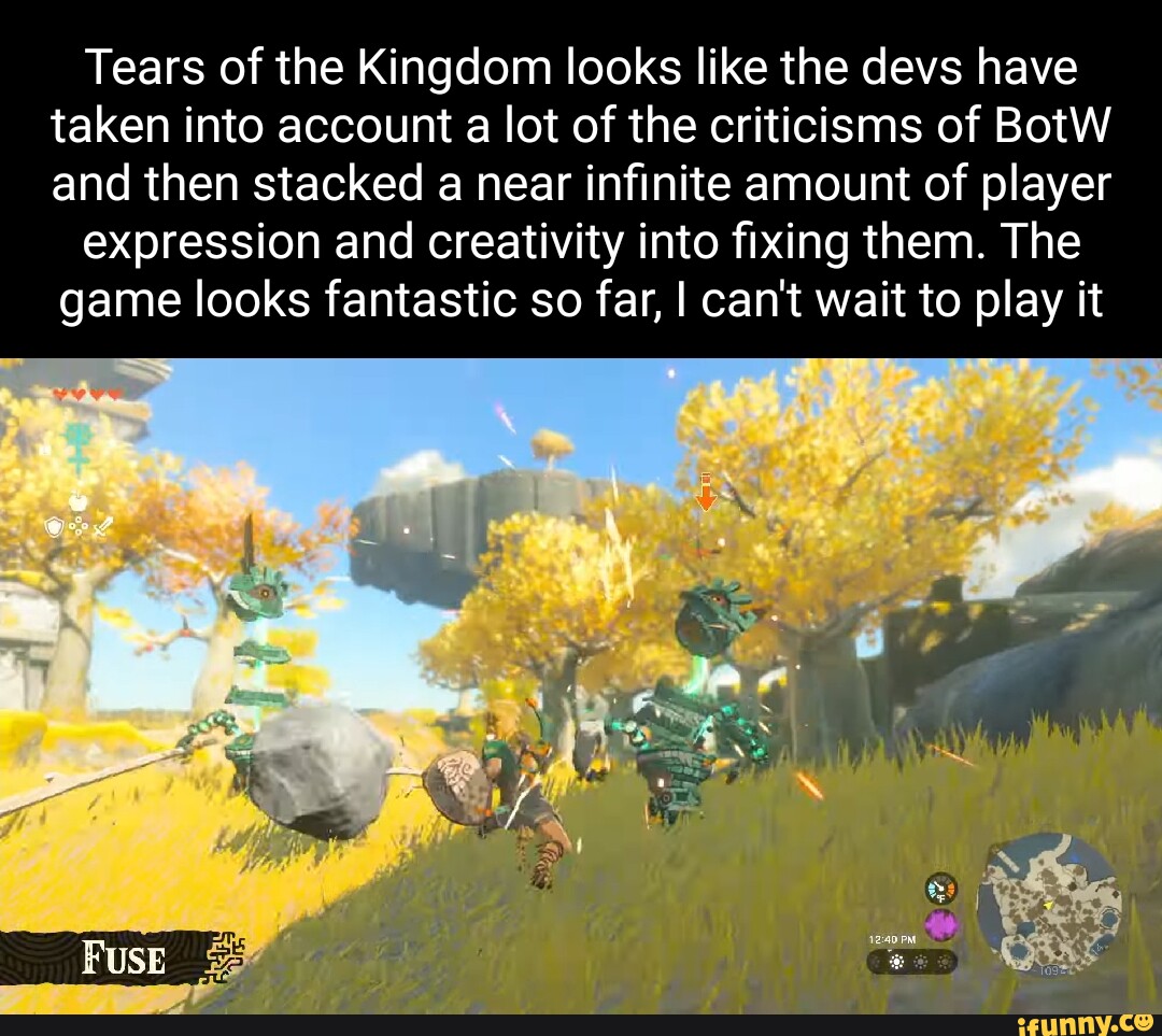 Tears of the Kingdom looks like the devs have taken into account a lot ...