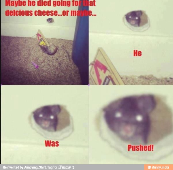 Maye he died Going tomy
at
delicious cheese..or m
