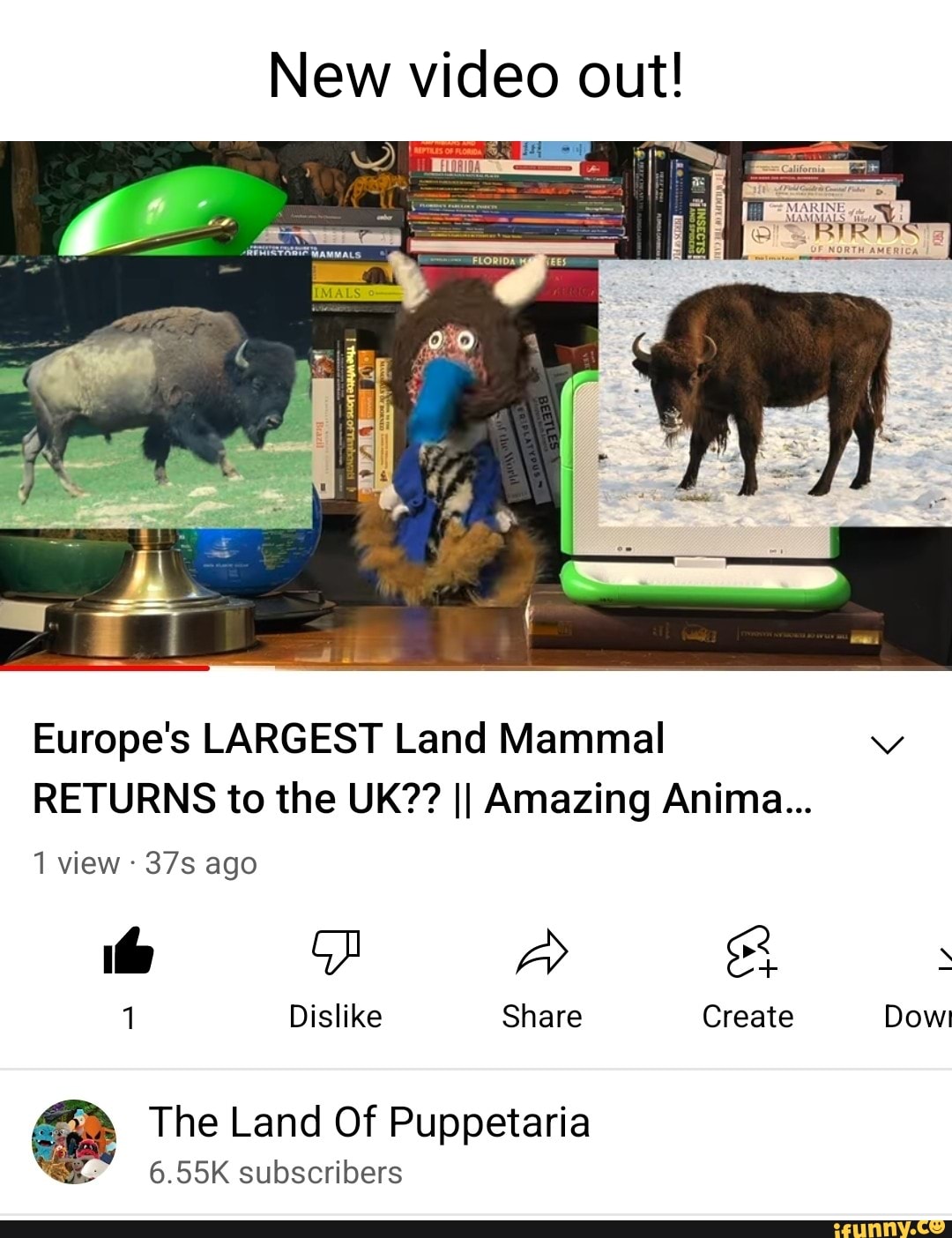 New video out! Europe's LARGEST Land Mammal RETURNS to the UK?? II Amazing  Anime... 1 view ago aA 1 Dislike Share Create Dow! The Land Of Puppetaria   subscribers 