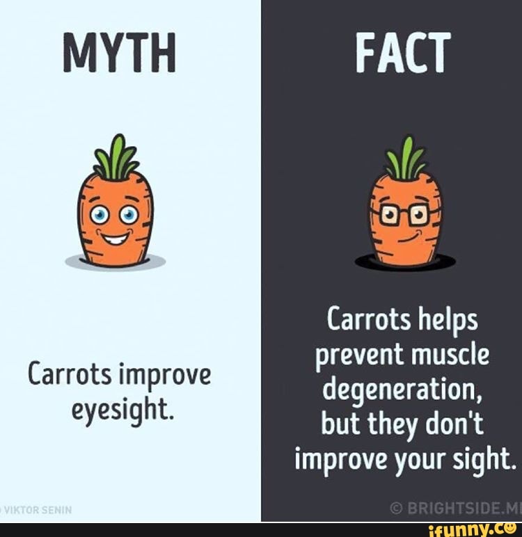 MYTH Carrots helps prevent muscle Carrots improve degeneration, eyesight. but they don't improve