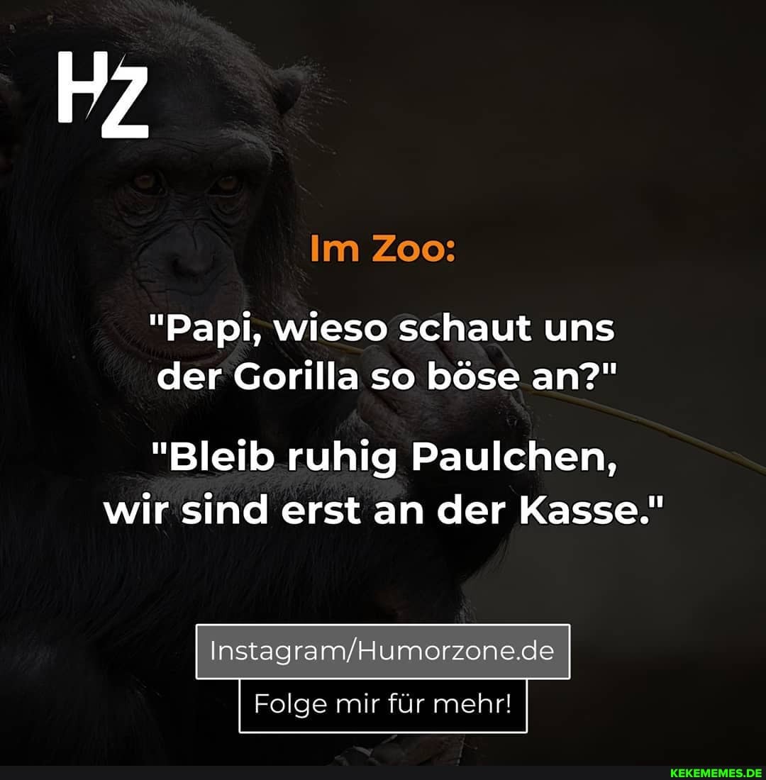 HZ
Im Zoo:
"Papi, wieso schaut uns der Gorilla so böse an?"
"Bleib ruhig Paulchen, wir sind erst an der Kasse."
Instagram/
Folge mir für mehr!
