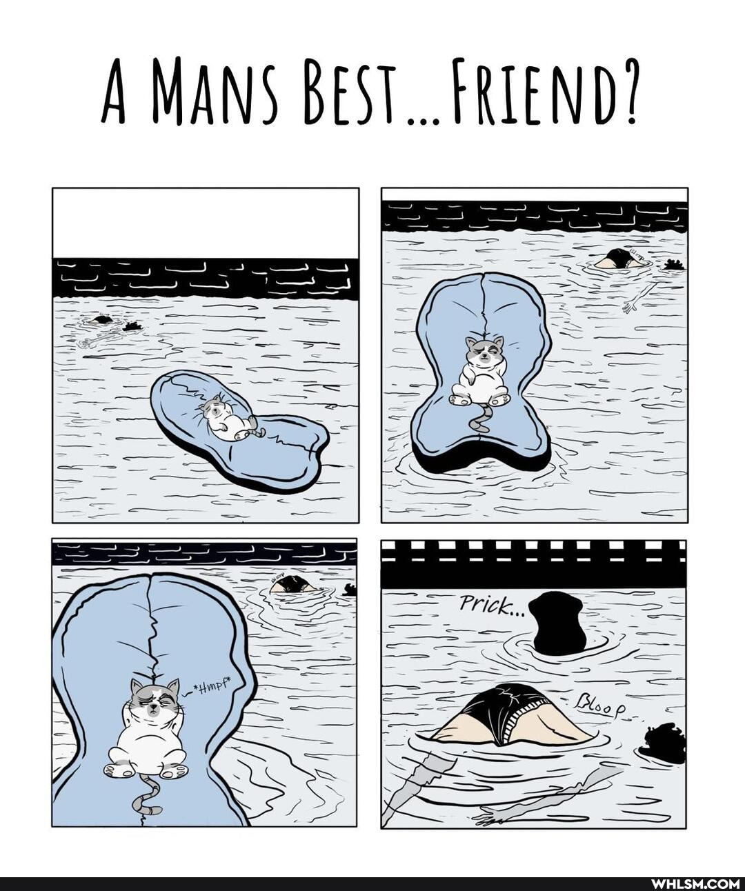 A MANS BEST... FRIEND?