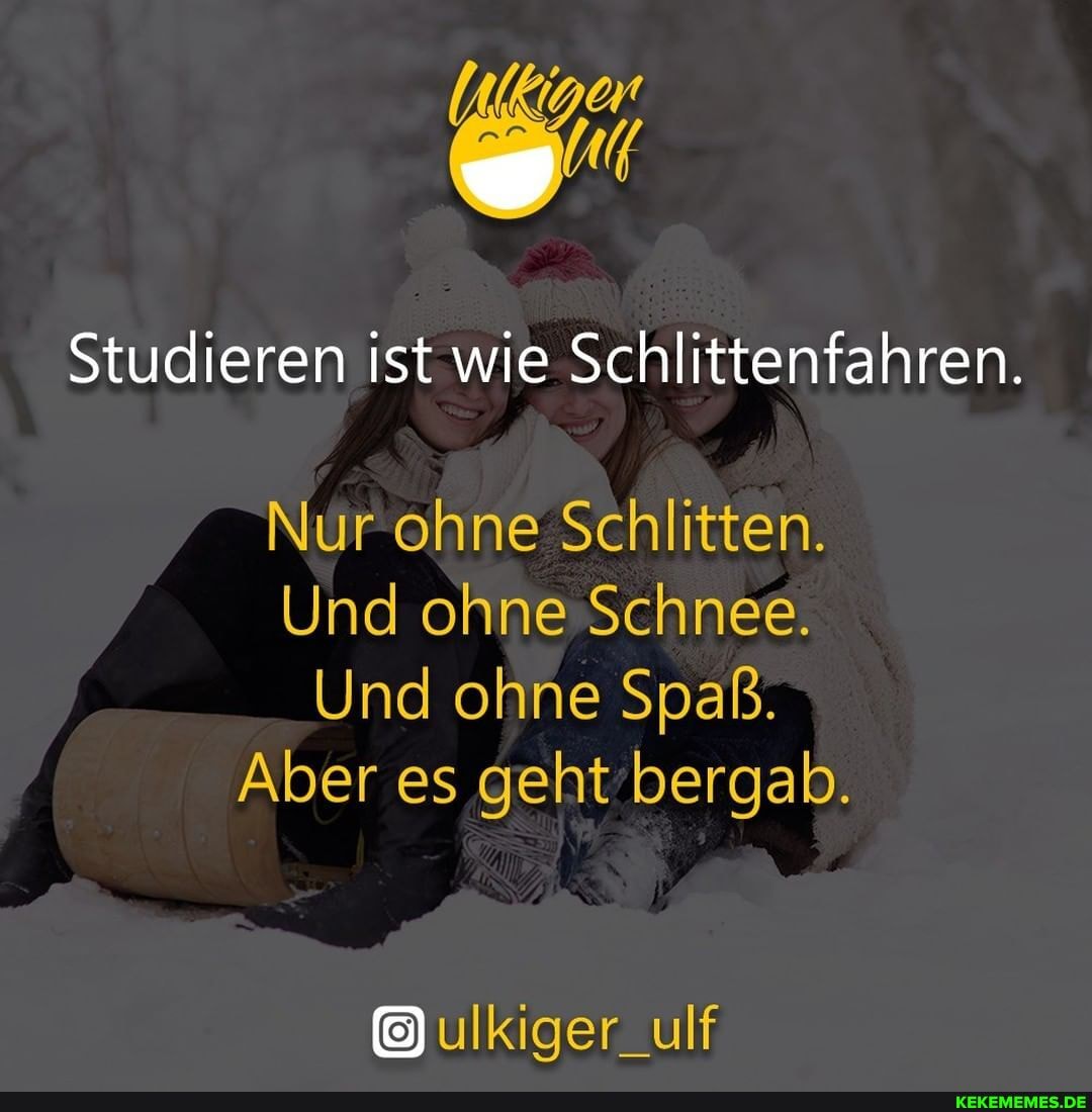 Studieren ist wie Schlittenfahren.
Nur ohne Schlitten.
Und ohne Schnee.
Und ohne Spaß.
Aber es geht bergab.
ulkiger_ulf