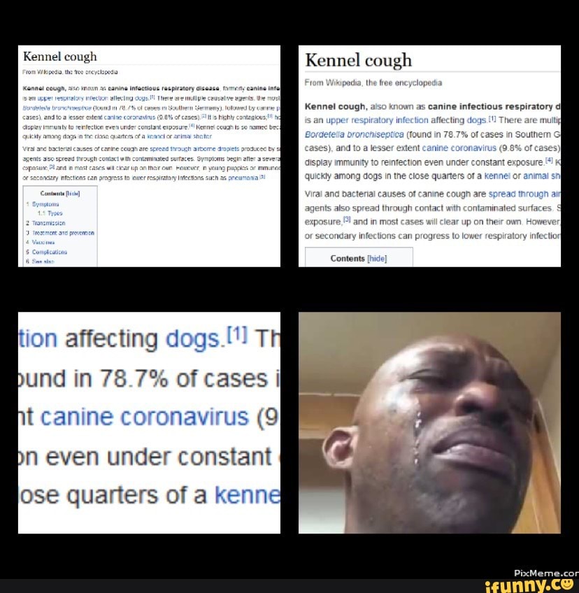 Kennel cough Kennel cough GEES Wikipedia, th encyclopedia Kennel cough