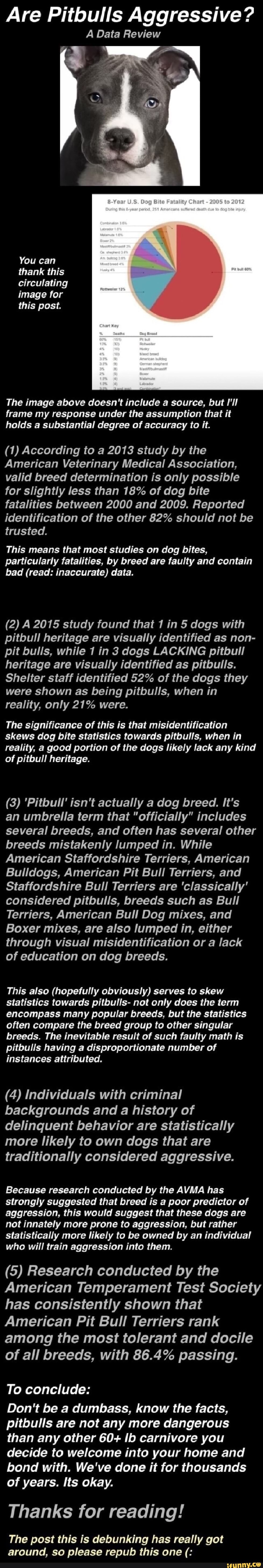 pit-bull-facts-that-are-totally-wrong-reader-s-digest