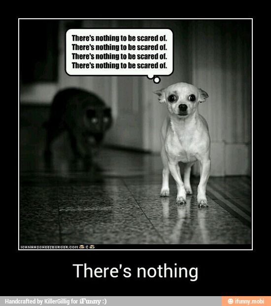There's nothing to he scared of.
's nothing to be scared of.
's nothing to be scared of.
There's nothing - There's nothing