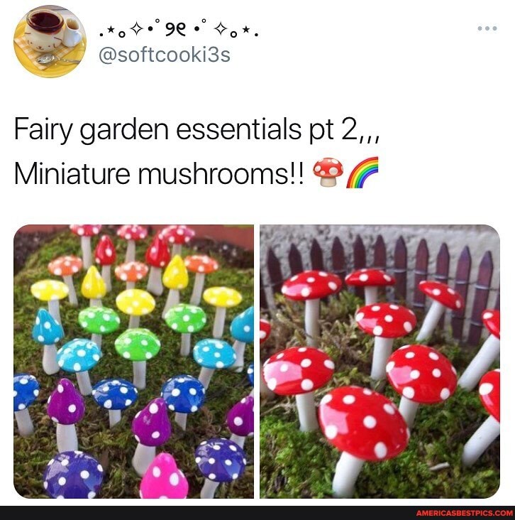 Fairy garden essentials pt 2,,,
Miniature mushrooms!!