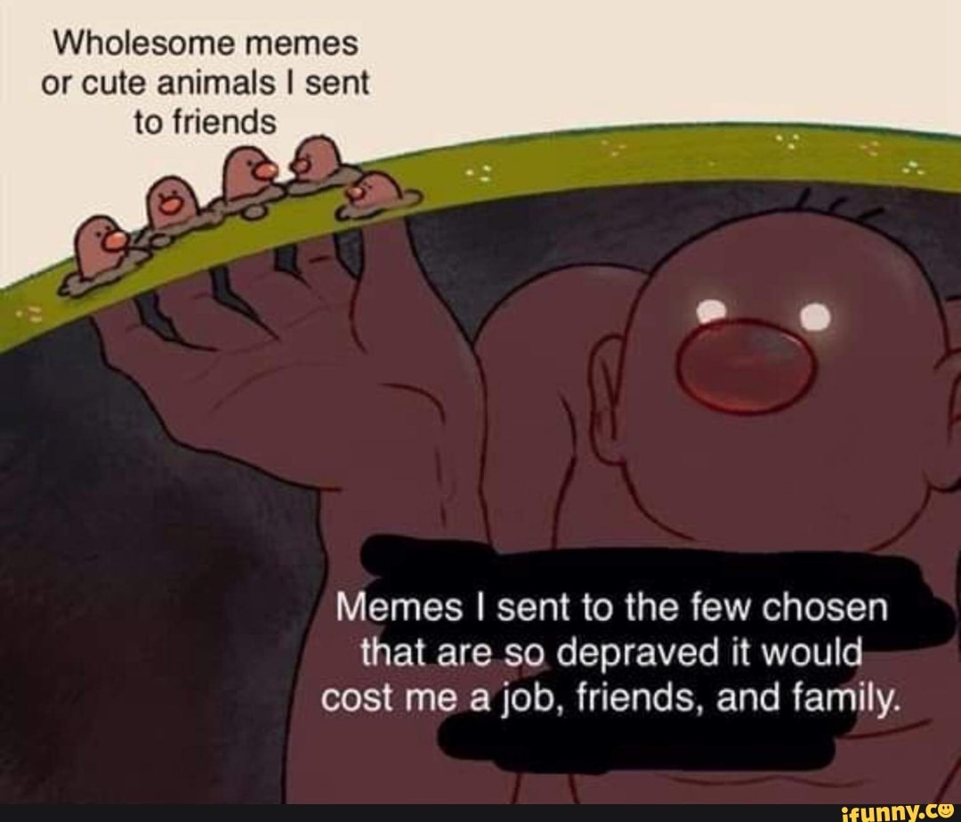 Wholesome friend memes