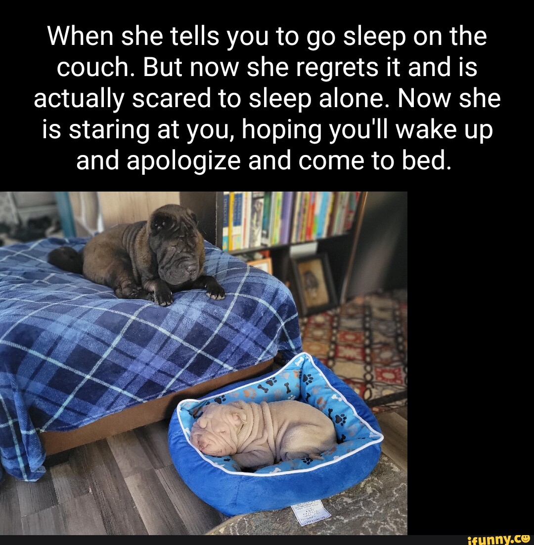 When she tells you to go sleep on the couch. But now she regrets it and
