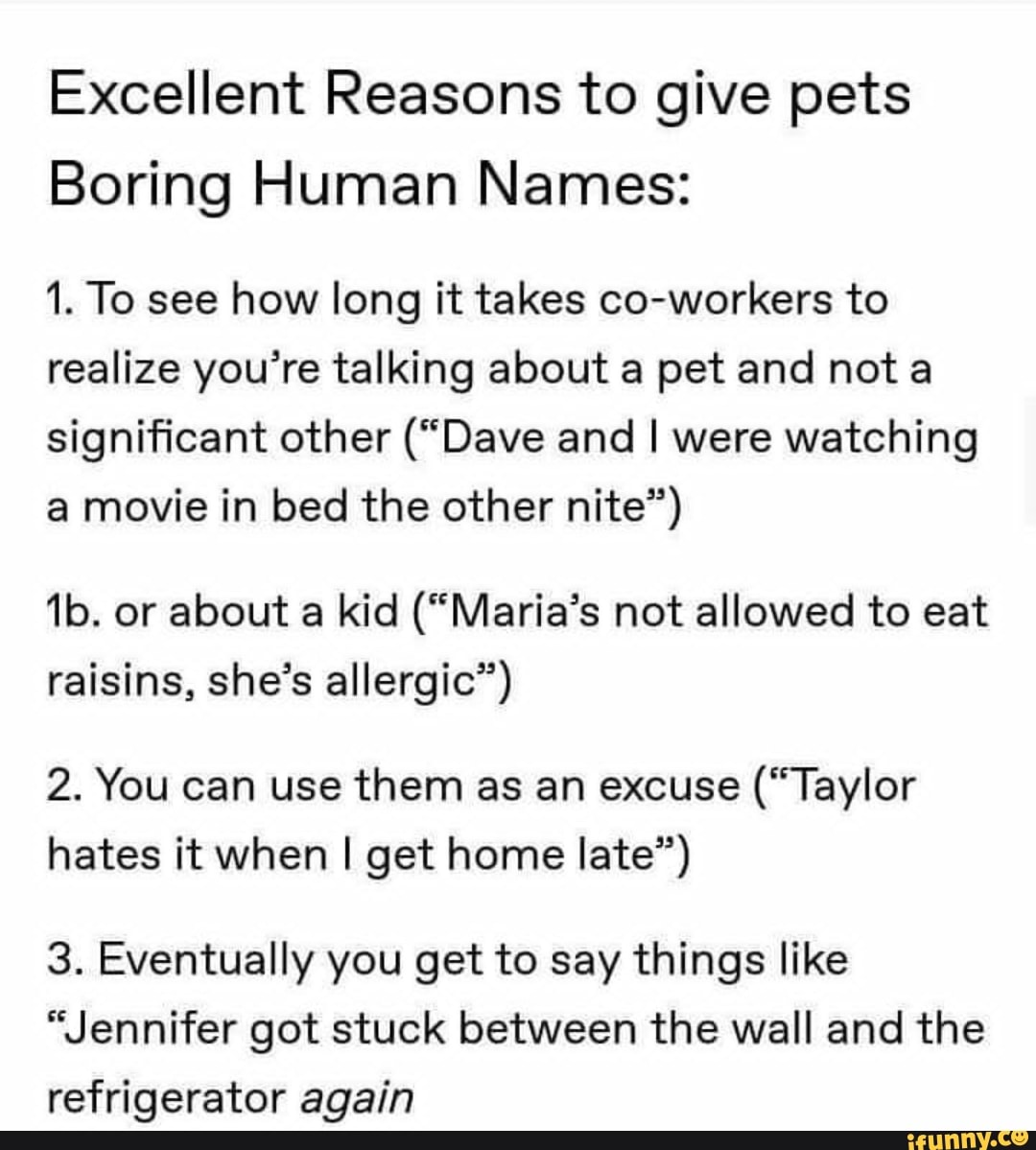 Excellent Reasons to give pets Boring Human Names 1. To see how long