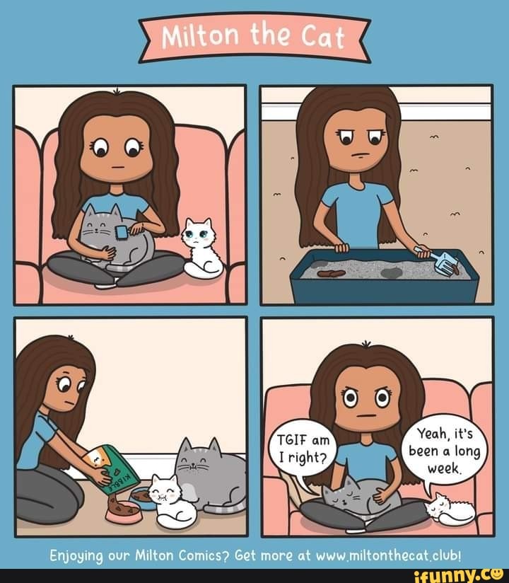 Miiton the Cat
Enjoying our Miltor Cones? Get more at www miltenthecat