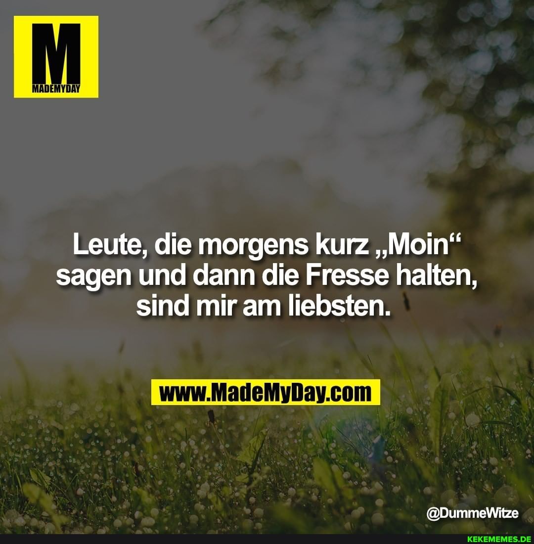 Leute, die morgens kurz "Mein" sagen und dann die Fresse halten, sind mir am liebsten.
@DummeWitze