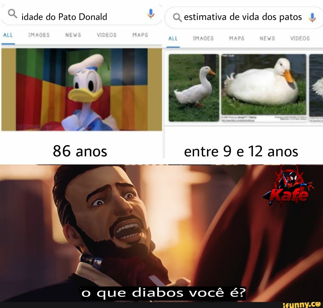 idade do Pato Donald Q, estimativa de vida dos patos +
86 anos entre 9 e 12 anos
o que diabos você éº