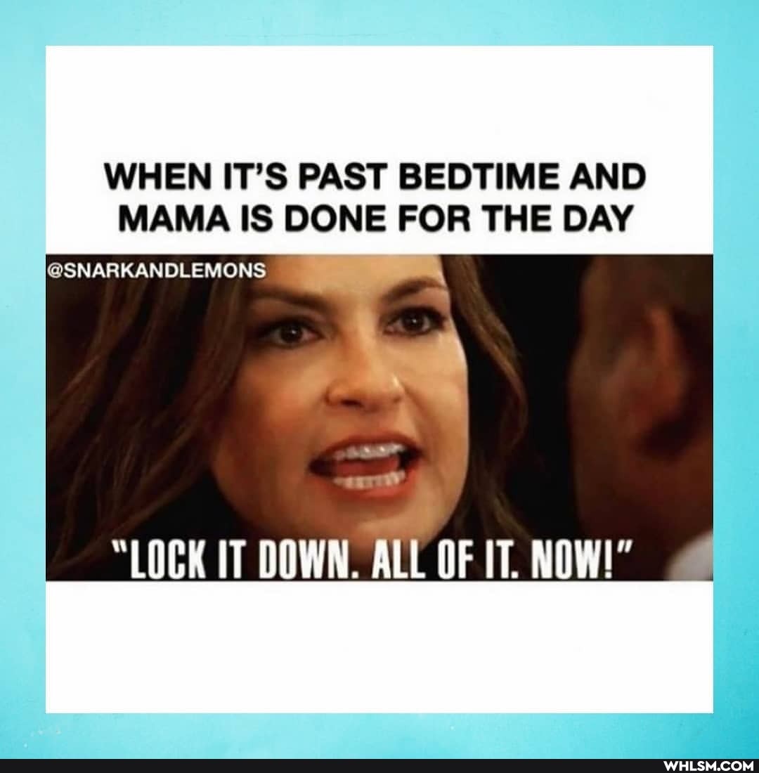 WHEN IT'S PAST BEDTIME AND MAMA IS DONE FOR THE DAY
@SNARKANDLEMONS
"LOCK DOWN. ALL OF IT. NOW!"