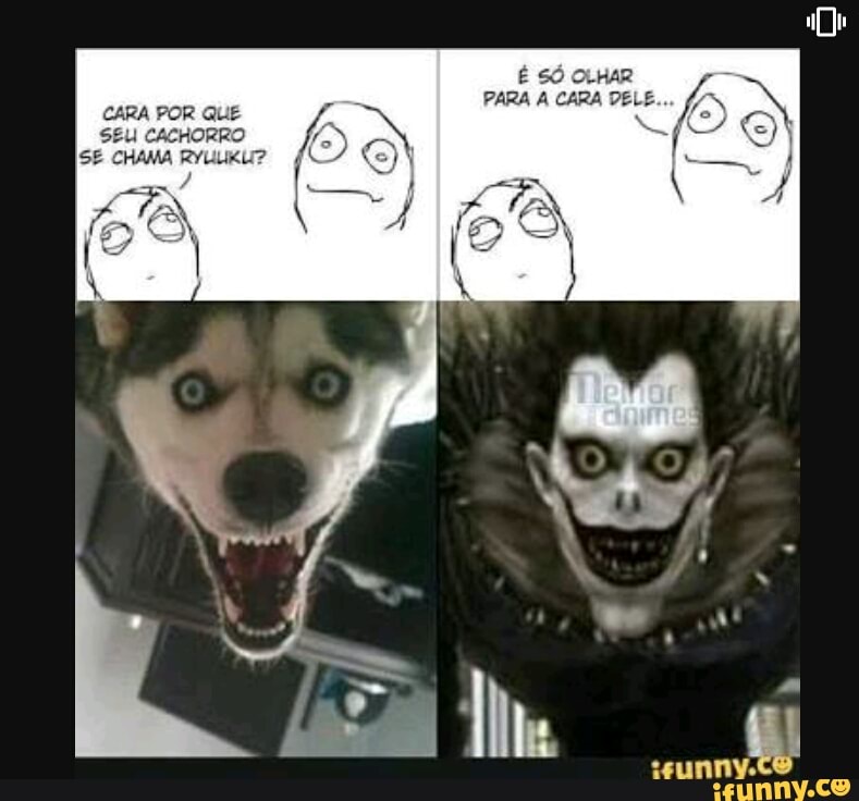 PARA A CARA DELE.
CARA POR QUE
SEU CACHORRO
SE CHAMA RYLLIKL?