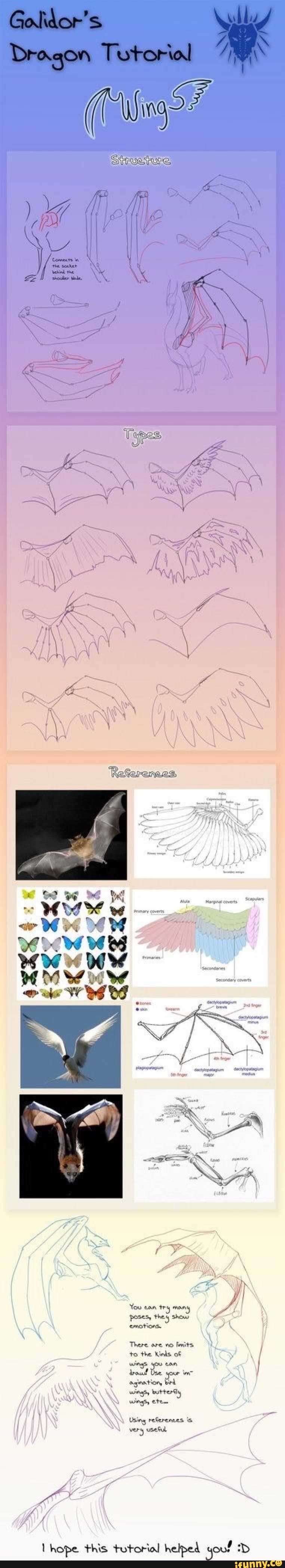 Goal \dor's
Dragon Tutorial
(ing?
You san try many poses, they shous
emotions.
There are fenits
to the Kinds of
wings you can droul Dae agination, bird wingy buttery
wings eten
Using references very useful
hope this tutorial helped you!