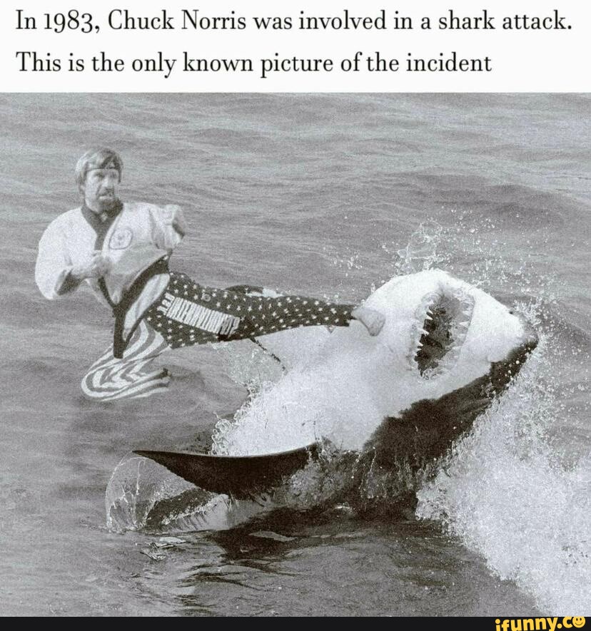 In 1983, Chuck Norris was involved in a shark attack. This is the only ...