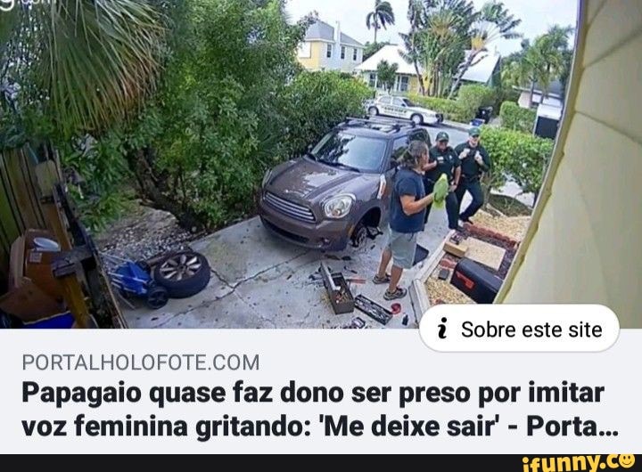 à Sobre este site
TE
Papagaio quase faz dono ser preso por imitar voz feminina gritando: 'Me deixe sair' - Porta...