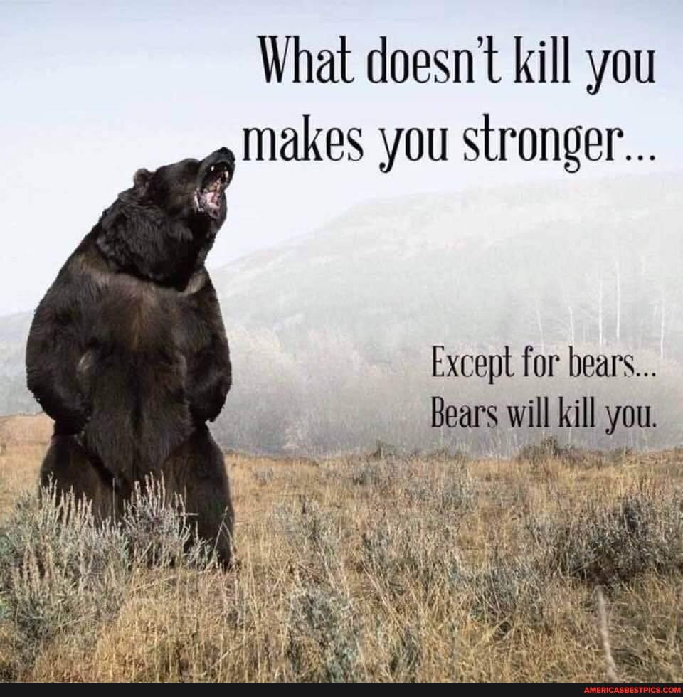 What doesn't kill you makes you stronger...
Except for bears...
Bears will kill you.