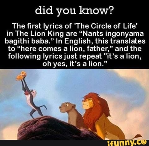 circle of life lion king lyrics