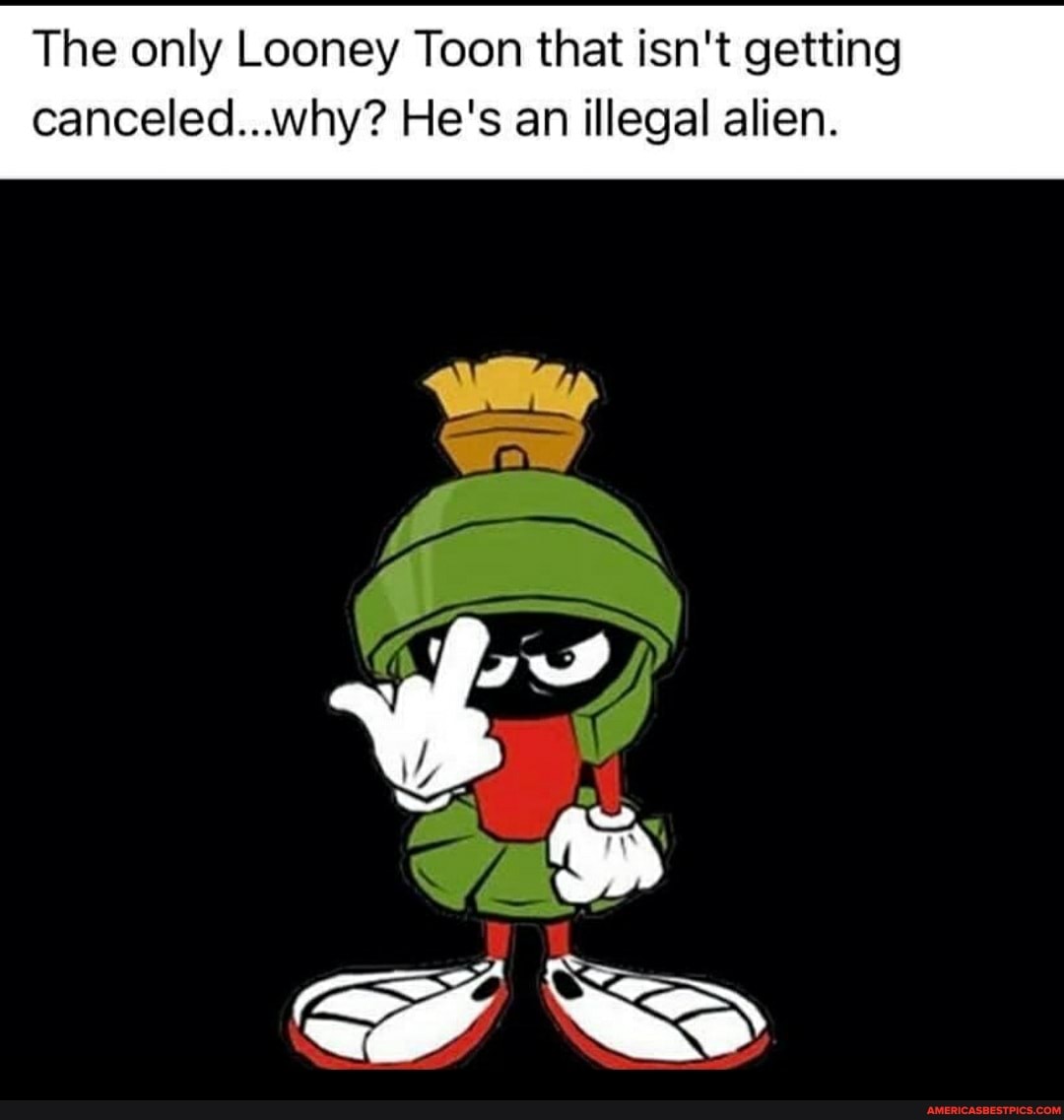 The only Looney Toon that isn't getting
canceled...why? He's an illegal alien.
-y SS