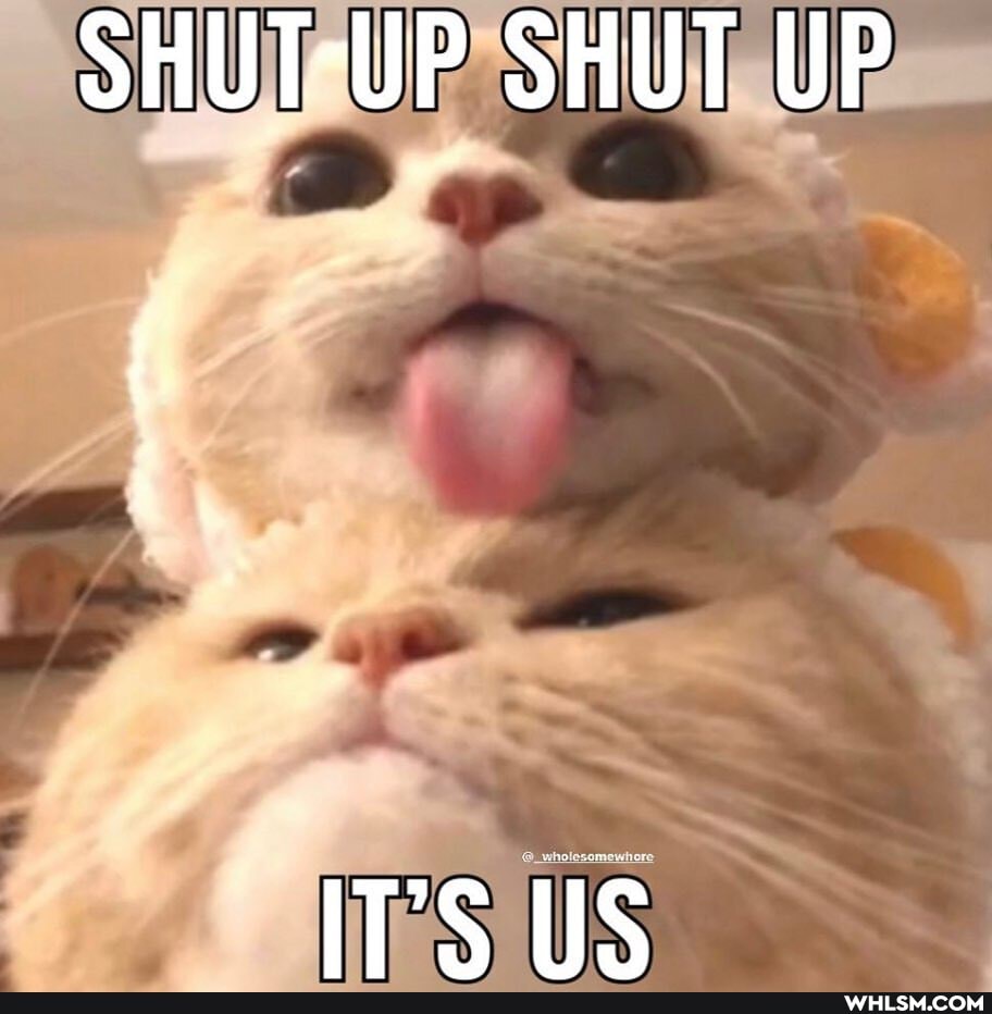 UP SHUT UP
IT'S TIS