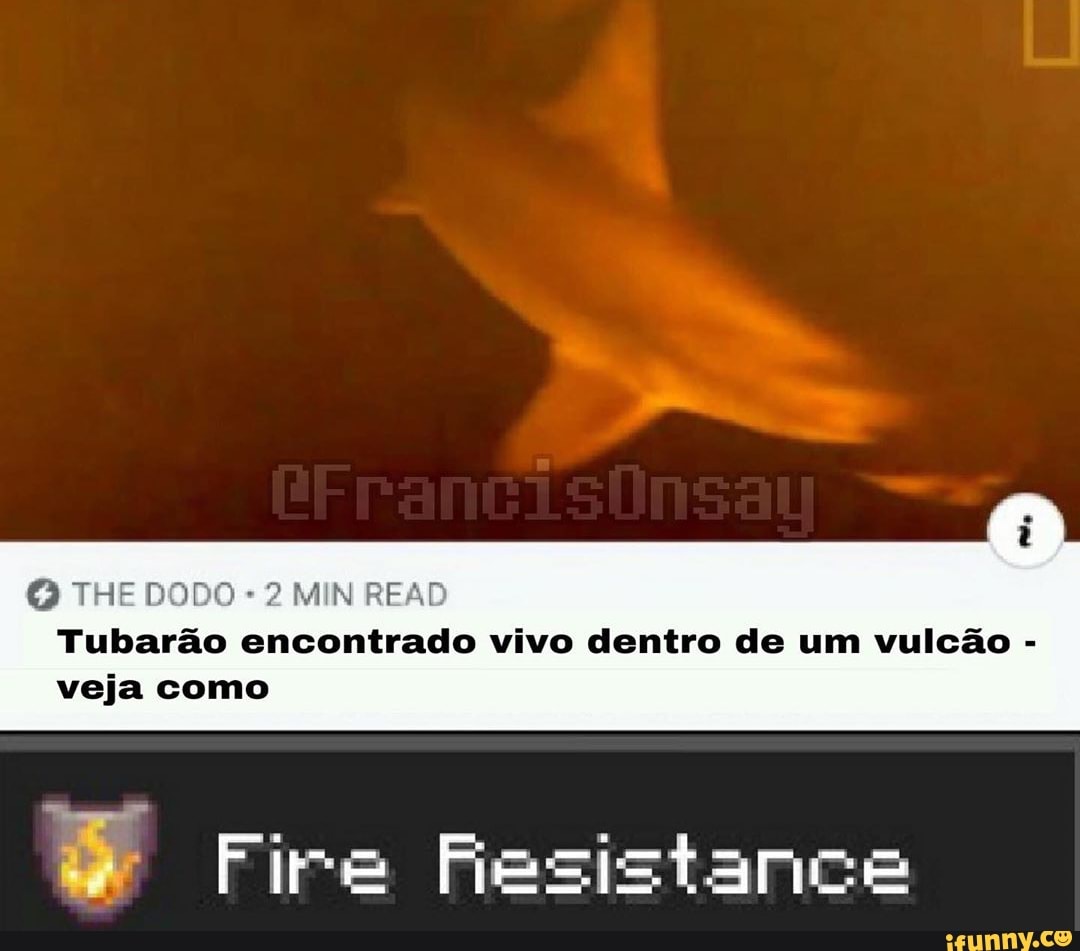 2 MIN READ
Tubarao encontrado vivo dentro de um vulcao veja como