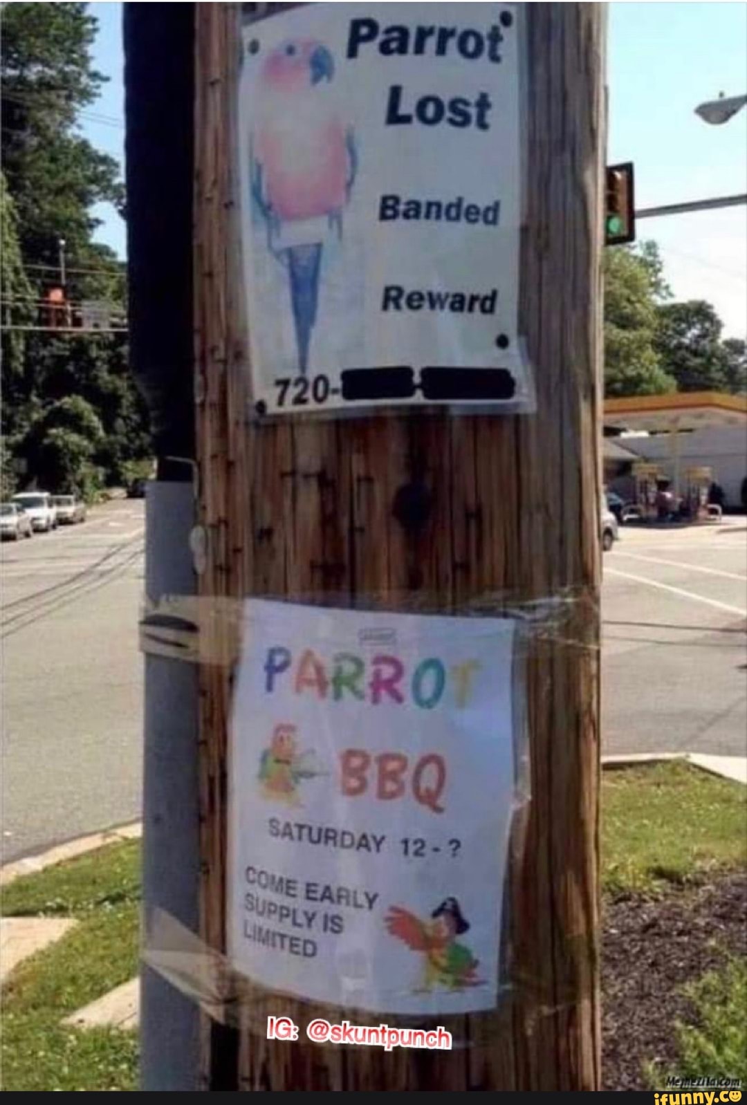 Parrot'
ATURDAY 12.2
ME EARL y
PRLy Is
MITED