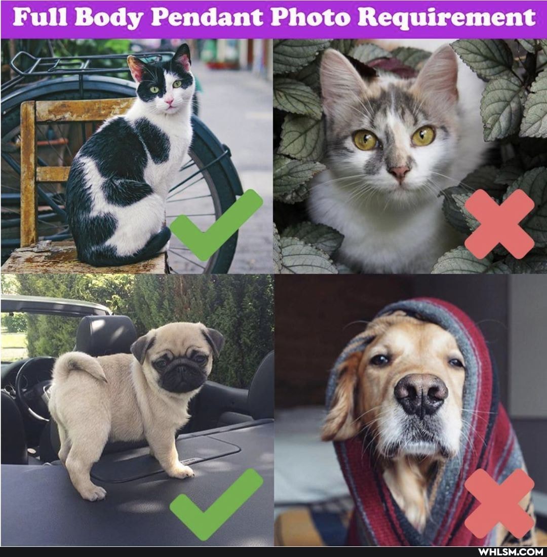 Full Body Pendant Photo Requirement