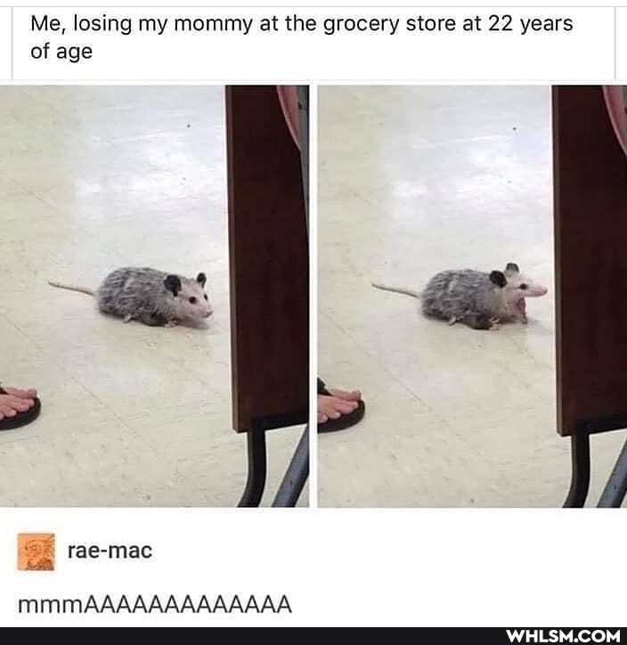 Me, losing my mommy at the grocery store at 22 years of age
rae-mac
MmmAAAAAAAAAAAAA