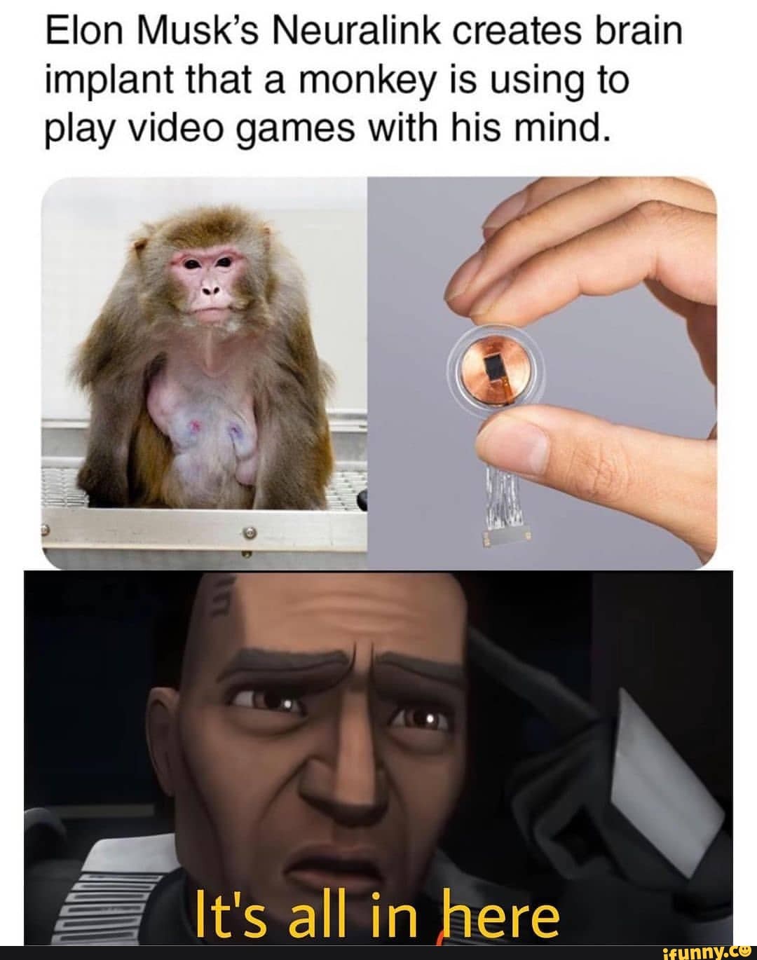 Monkey Plays Video Games With His Mind