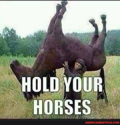 HOLD vouR
HORSES