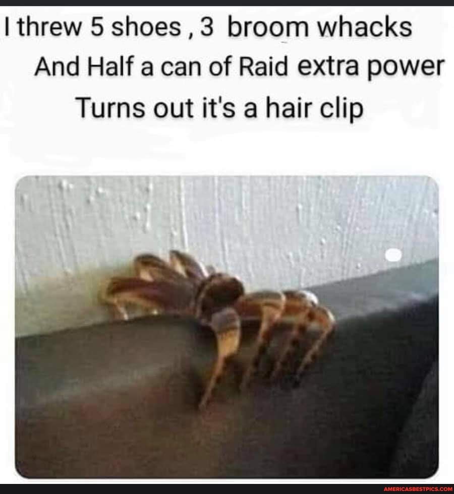 threw shoes ,3 broom whacks
And Half a can of Raid extra power
Turns out it's a hair clip