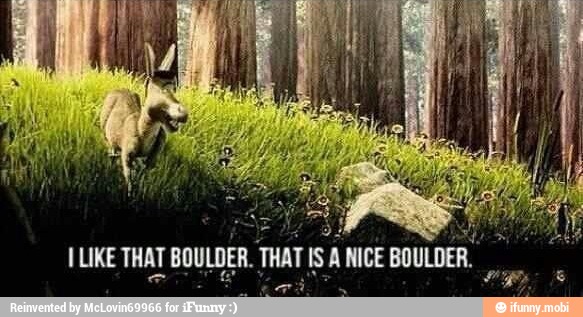 ILIKE THAT
BOULDE
THAT IS A NICE BOULDER.