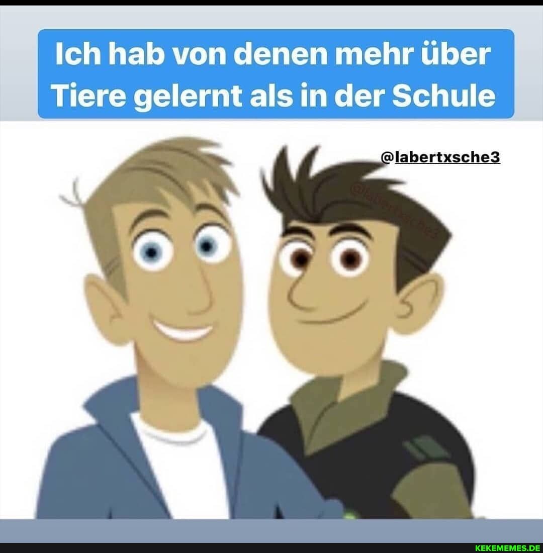 Ich hab von denen mehr über
Tiere gelernt als in der Schule
labertxsche3