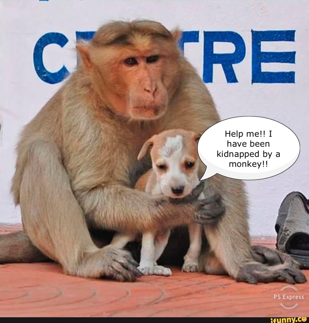 Help me!! I have been
kidnapped by a monkey!!
PS Express