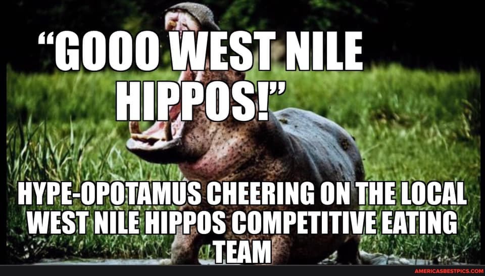 "GO00 WEST NILE HIPPOS!
MUS CHEERING ON THE LOCAL WEST NILE HIPPOS COMPETITIVE EATING
TEAM:
