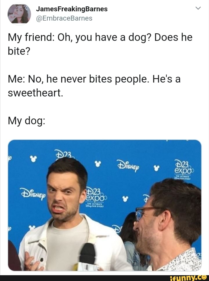 My friend Oh, you have a dog? Does he bite? Me No, he never bites