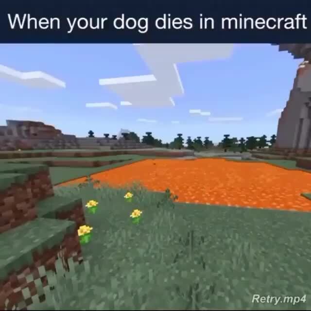 Recreated my dog Hank within Minecratt Your story Close friends - iFunny  Brazil