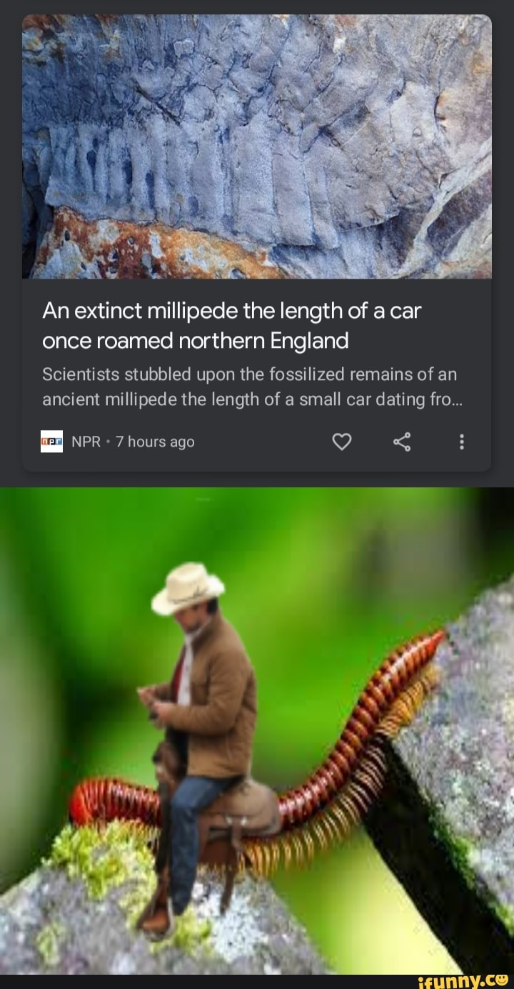 an-extinct-millipede-the-length-of-a-car-once-roamed-northern-england