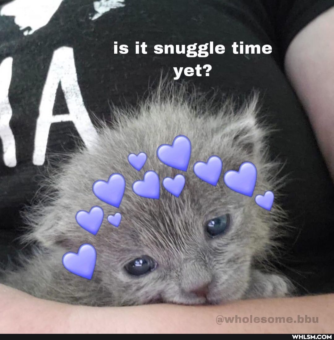 is it snuggle time yet?
olesome.bbu