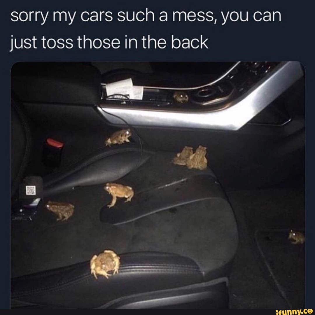 Sorry my skills are automatically maxed. Frog in car. To mess about with cars. Mess sorry up Kolongo.