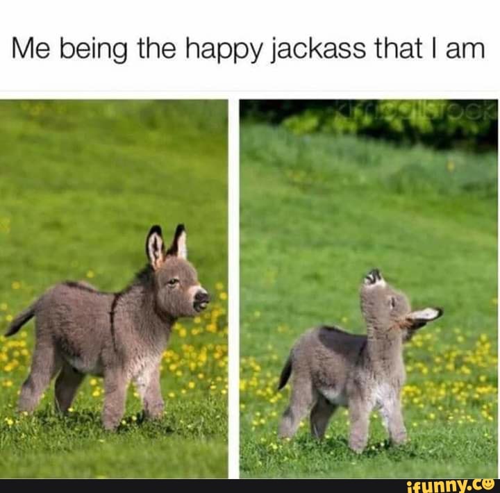 Me being the happy jackass that I am