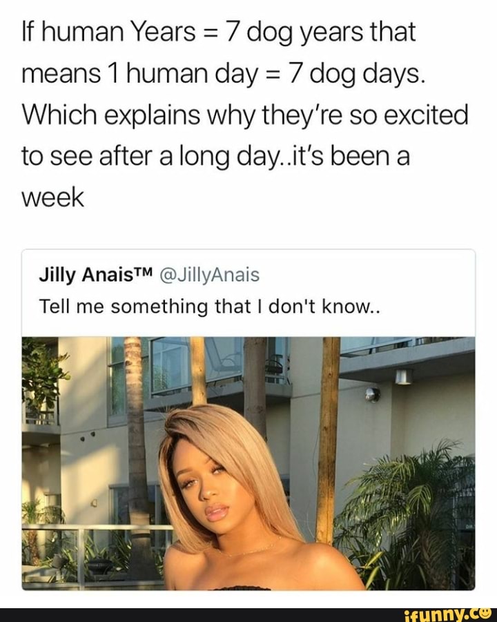 If Human Years 7 Dog Years That Means1 Human Day 7 Dog Days