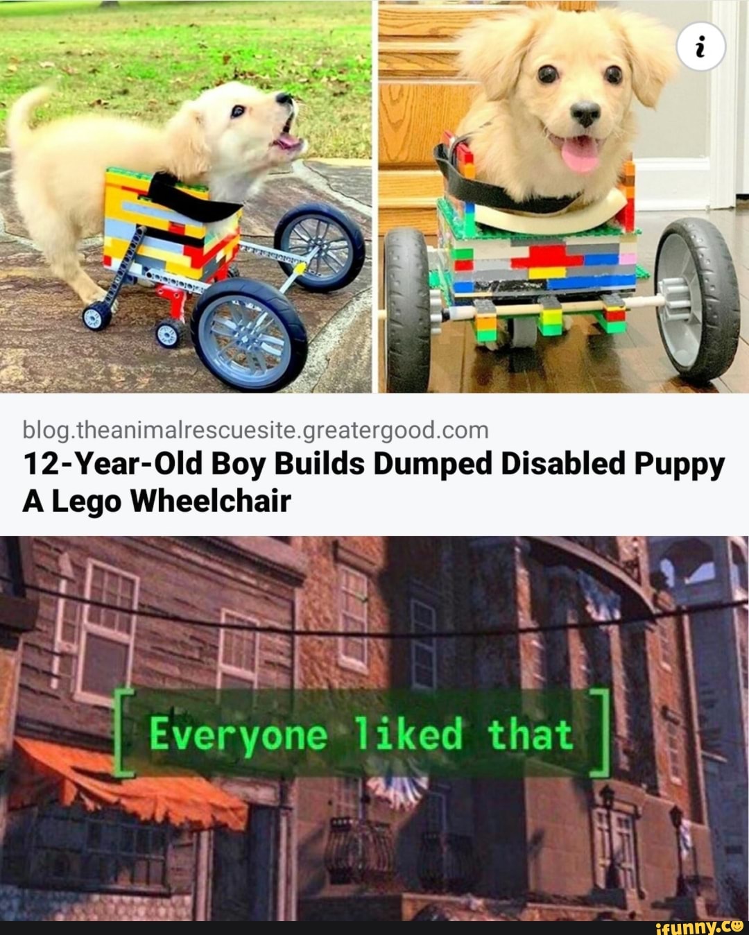 blog.theanimalrescuesite.greatergood.com
12-Year-Old Boy Builds Dumped Disabled Puppy
A Lego Wheelchair