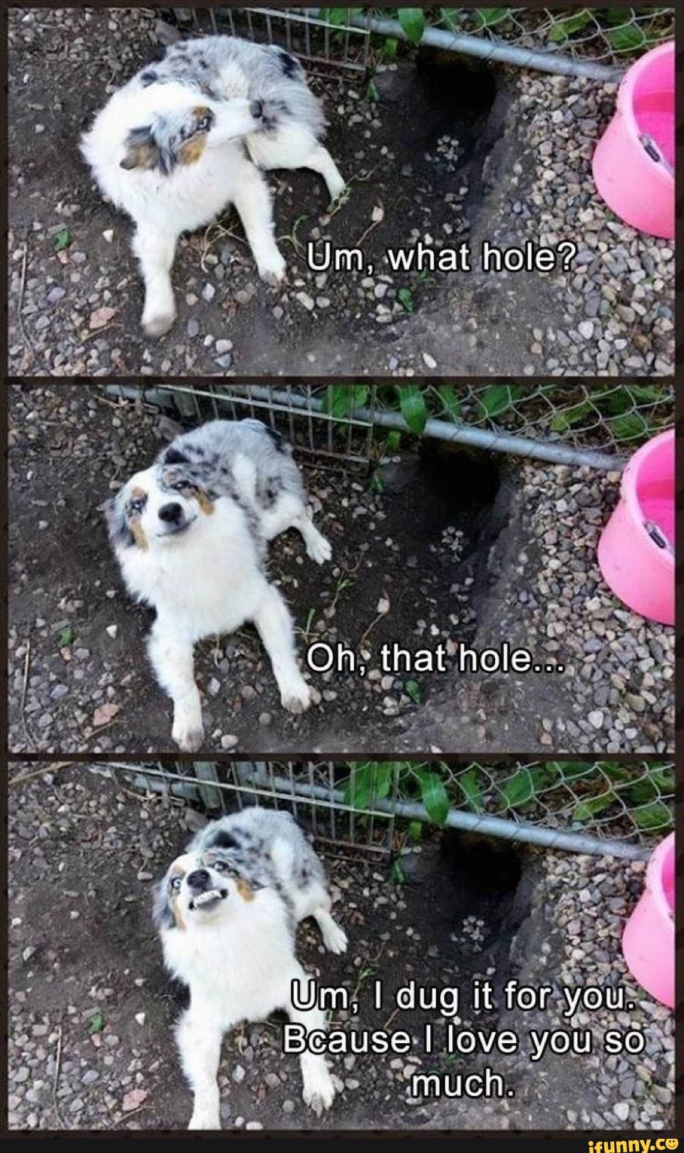 XDD