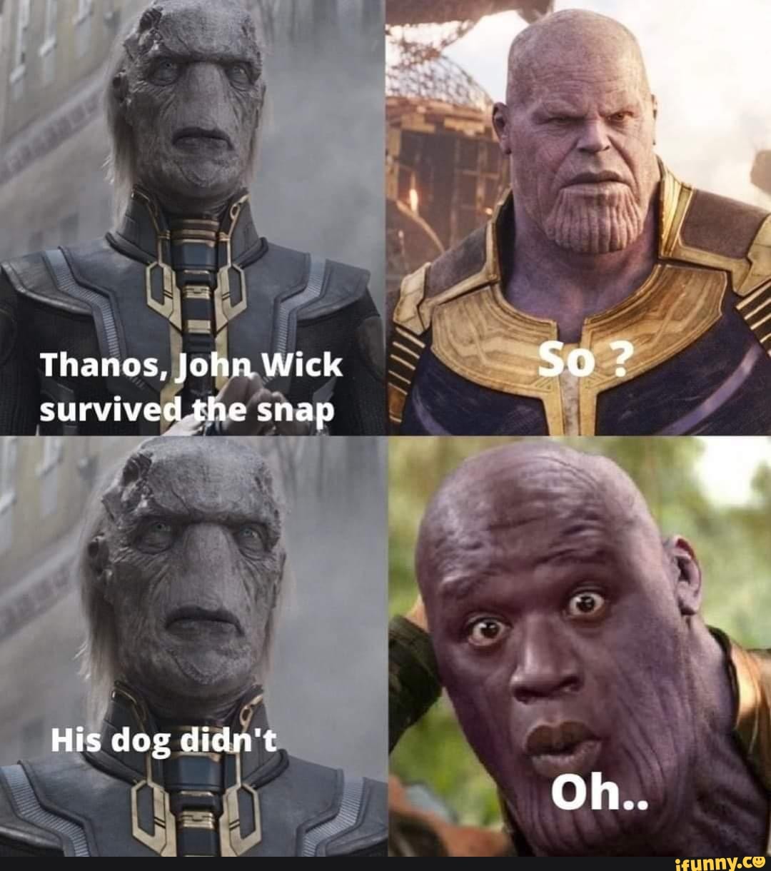 Thanos John Wick So Survived The Snap His Dog Didnt Oh.