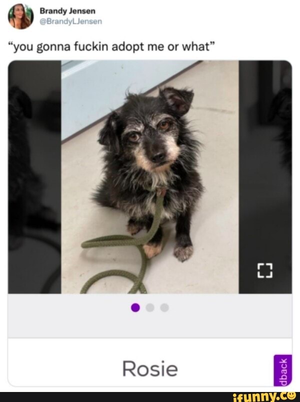 Ap Brandy Jensen "you gonna fuckin adopt me or what" Rosie iFunny