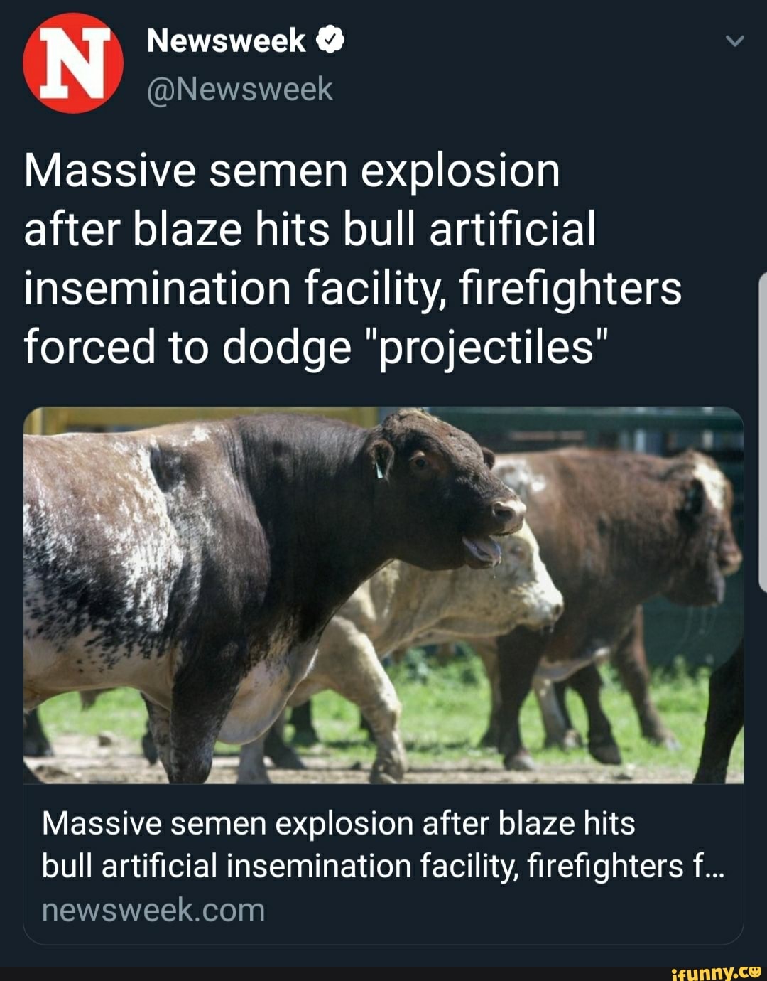 Massive semen explosion after blaze hits bull artiﬁcial insemination  facility, ﬁreﬁghters forced to dodge 