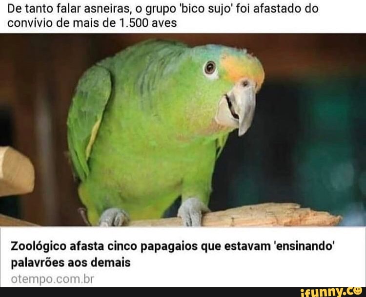 De tanto falar asneiras, o grupo 'bico sujo' foi afastado do convívio de mais de 1.500 aves
Zoológico afasta cinco papagaios que estavam 'ensinando' palavrões aos demais
otempo.com.br